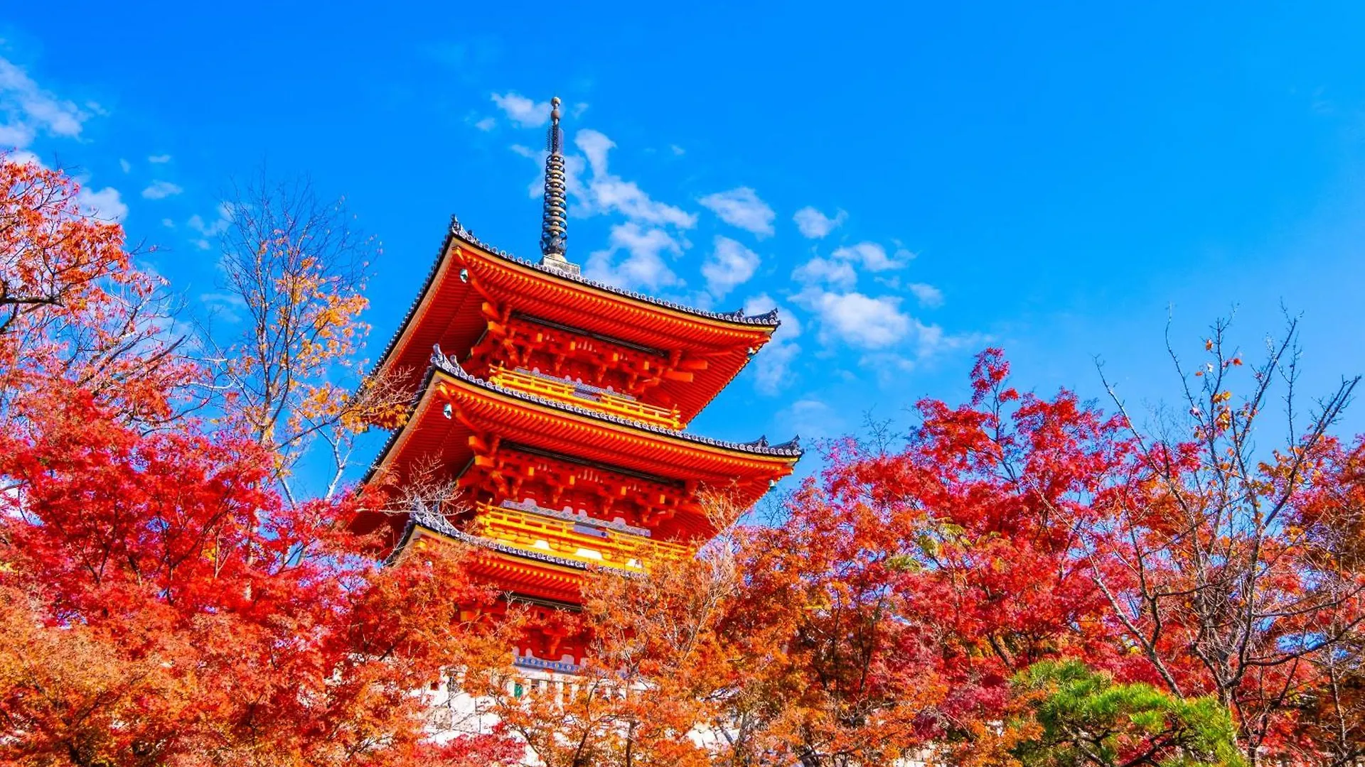 Tokyu Stay Kyoto Sakaiza Shijo Kawaramachi 4*,