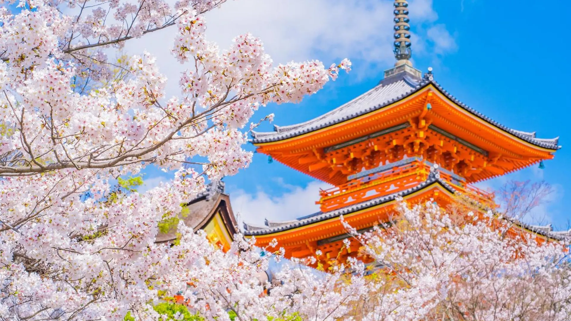 Tokyu Stay Kyoto Sakaiza Shijo Kawaramachi 4*,  Japon